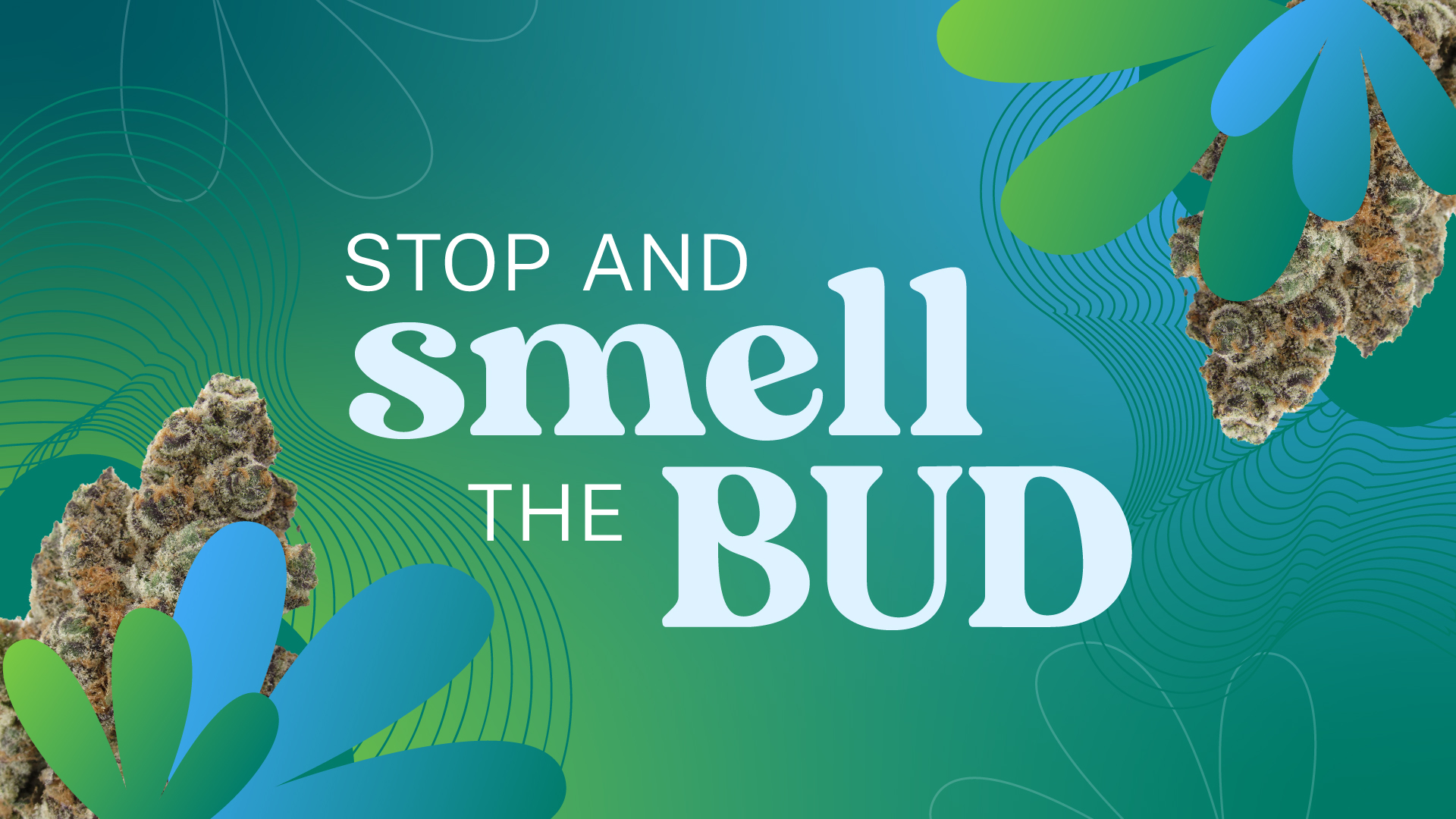 Dispensary deals, weed promos, & BOGO deals near you | Leafly